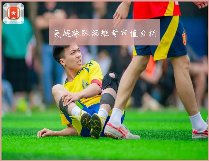 英超球队诺维奇市值分析